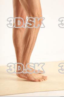 Leg reference of Levoslav 0009